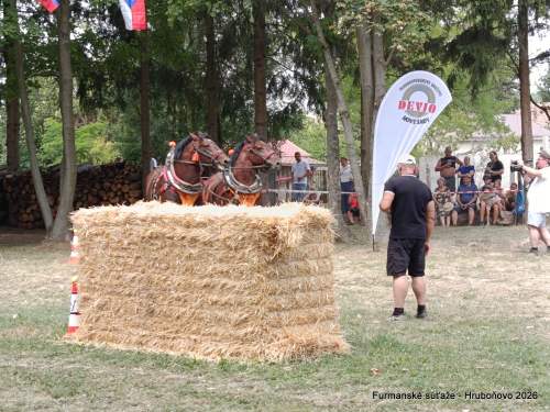 IMG_20260801_114017